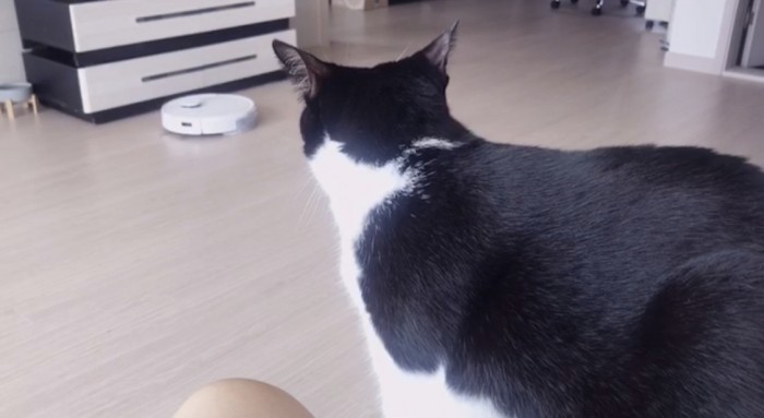 59982759fd180d1b343178e170b6893f_1645799878_2609.jpeg