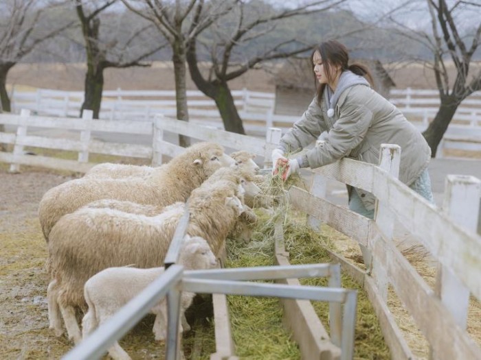 2049962136_BW3Xy1Tm_9f0d5efa9e95425cfab21f2e76a6d05091fdfc44.jpeg