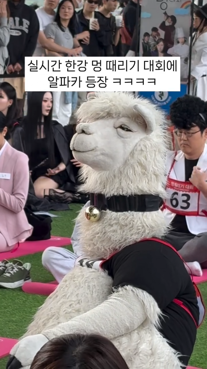83eddffc0645d8e2583766805de2d083_1747213555_5488.png