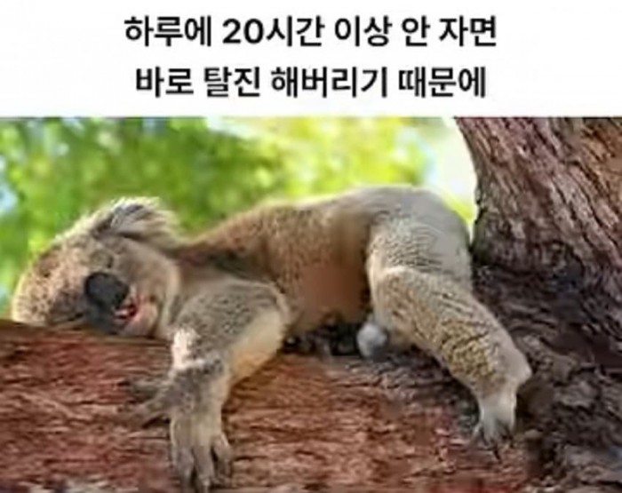104d742cd0b2a5de02dc90fb0067ad25_1756348913_2792.jpg