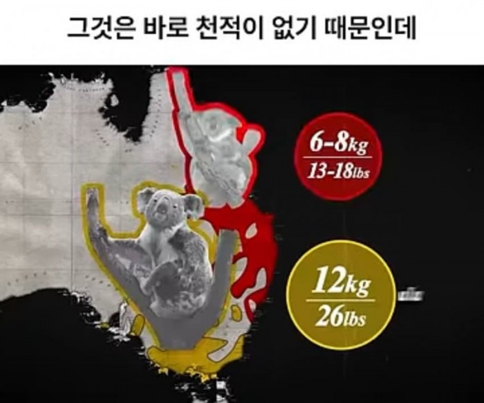104d742cd0b2a5de02dc90fb0067ad25_1756348929_007.jpg